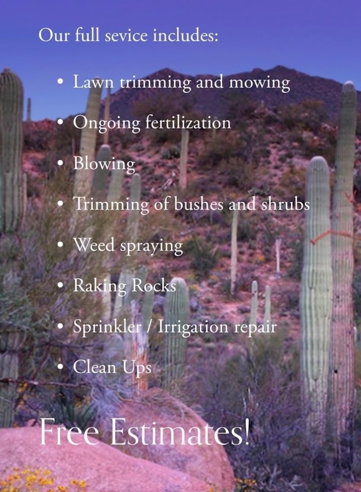 Sonoran Lawn project